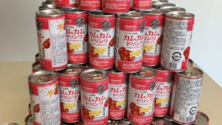 [学校訪問記]東京農業大学稲花小学校