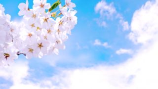 [教室だより]新年度の準備をしています